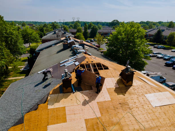 Residential Roof Replacement in Williston Highlands, FL