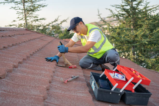 Best Roof Leak Repair  in Williston Highlands, FL